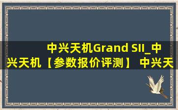 中兴天机Grand SII_中兴天机【参数报价评测】 中兴天机参数配置